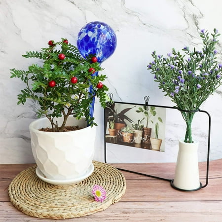 Multi-Color, One Size LANTIAN Small Watering Globe Set 6 Piece Colorful Hand-Blown Glass Garden Watering System Multi-Color, One Size LANTIAN Small Watering Globe Set 6 Piece Colorful Hand-Blown Glass Garden Watering System
